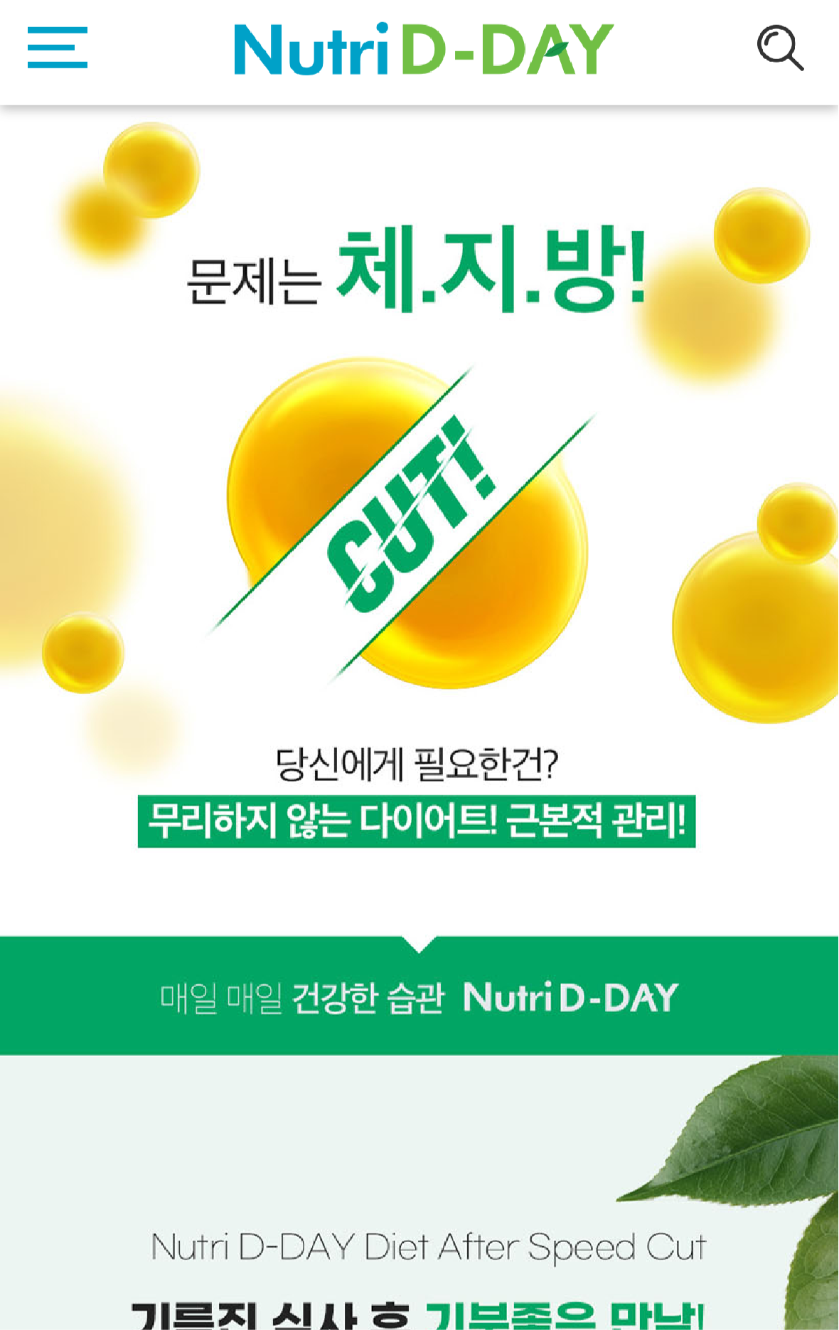 NutriD-Day 餐後減卡片28 粒