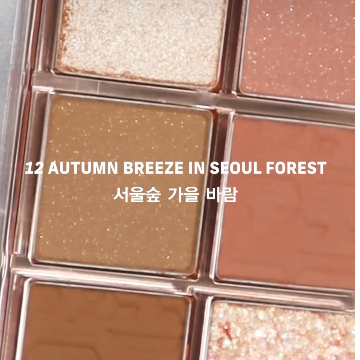 Clio pro eye palette 10 色眼影